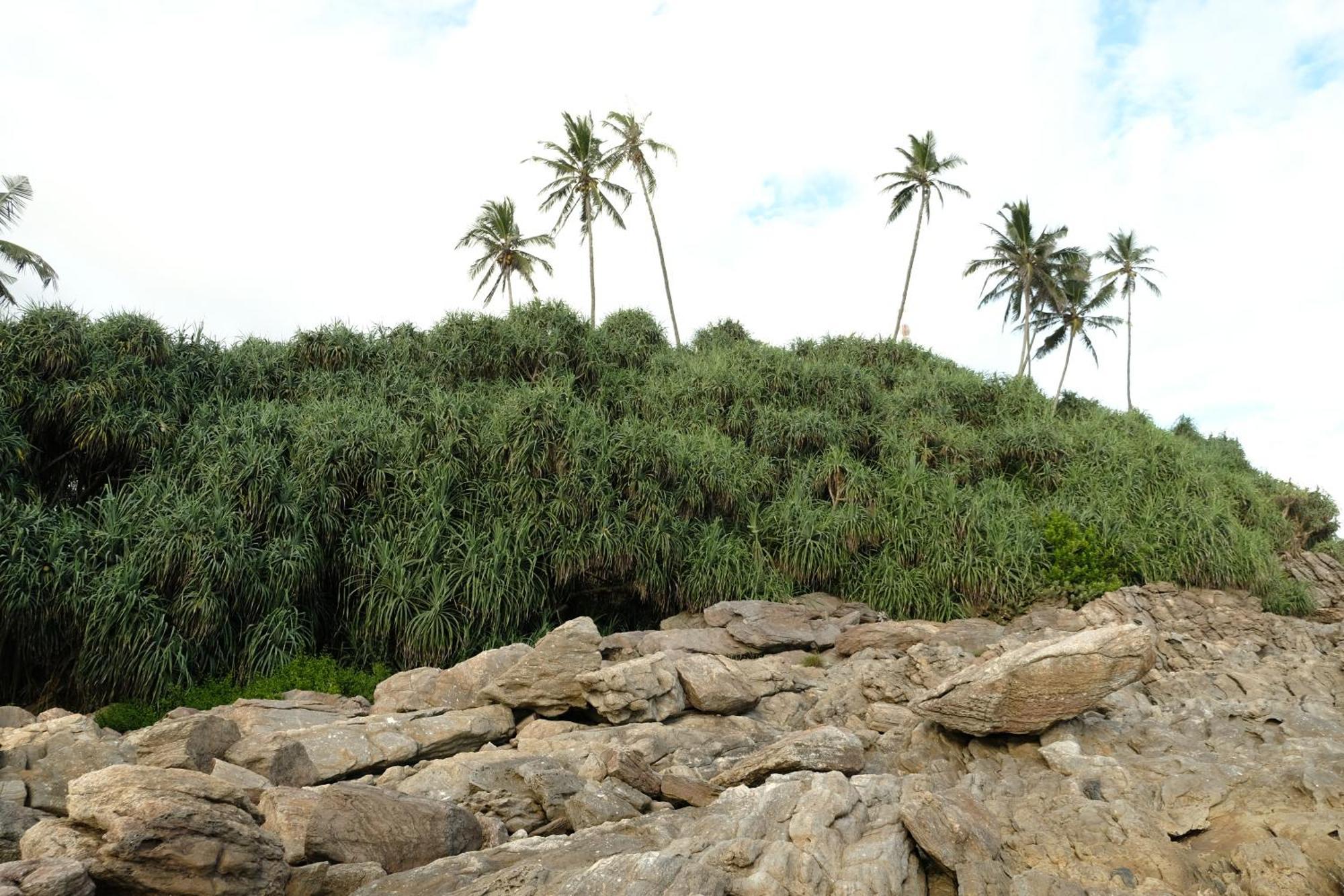 Menaka Homestay Tangalle Exterior photo